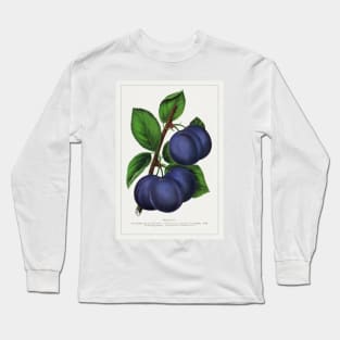 Niagara Plum Lithograph (1900) Long Sleeve T-Shirt